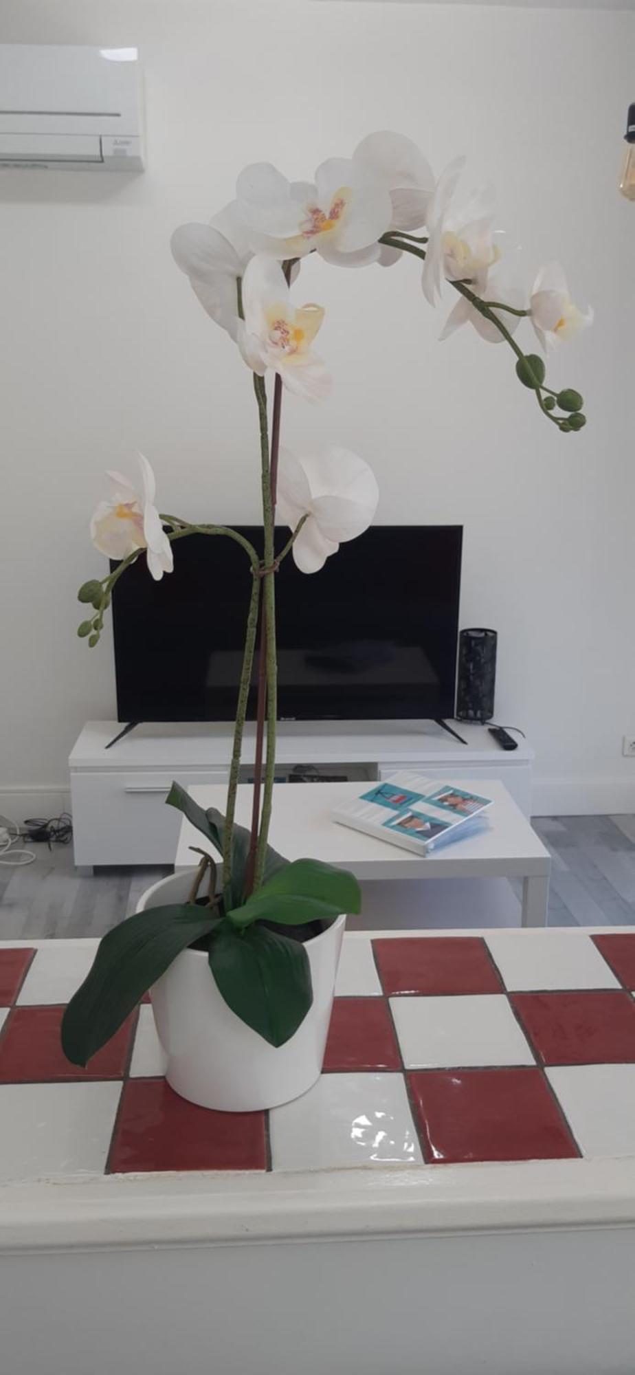 Logement Le Serein Tolone Esterno foto